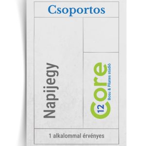 Csoportos napijegy